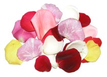 Freeze dried rose petal sample pack